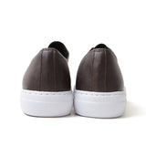 Sasha 'Brown & White' - Apollo Moda